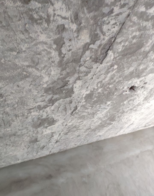 1621514509(1)